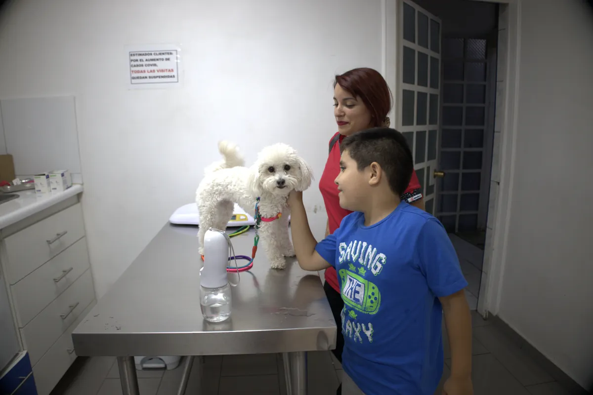 Consulta de Especialidad — Centro Clínico Veterinario Santa María