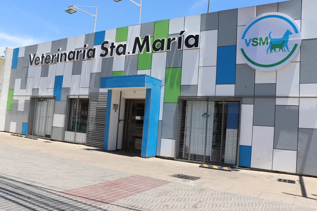 Fachada del Centro Clínico Veterinario Santa María, Quilicura, con sus luces encendidas