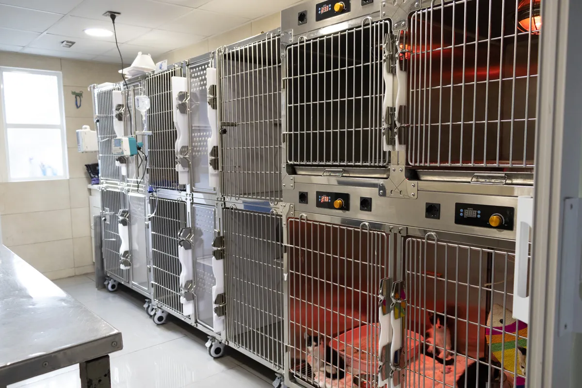 Hospitalización — Centro Clínico Veterinario Santa María
