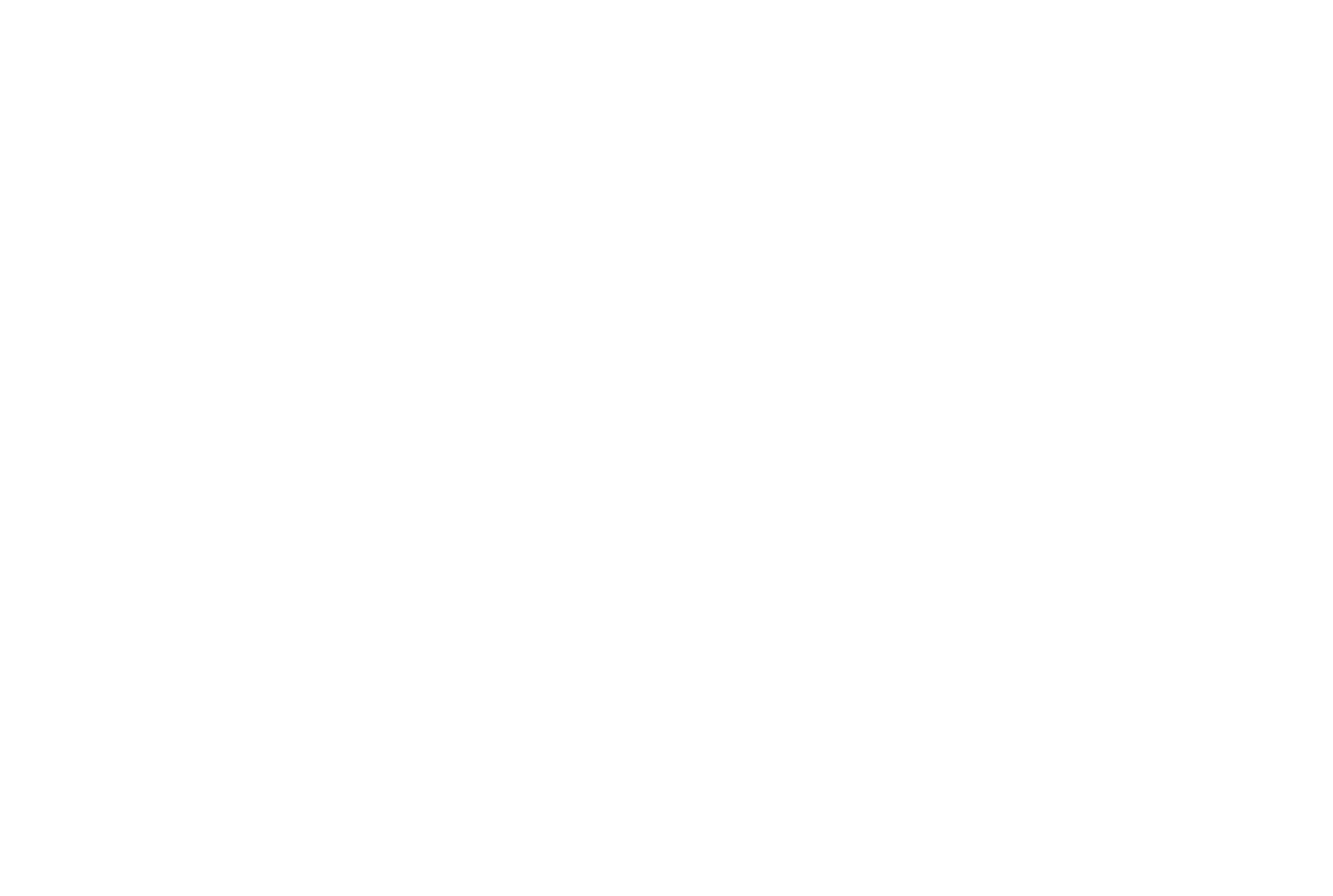 VSM Veterinaria Sta. María