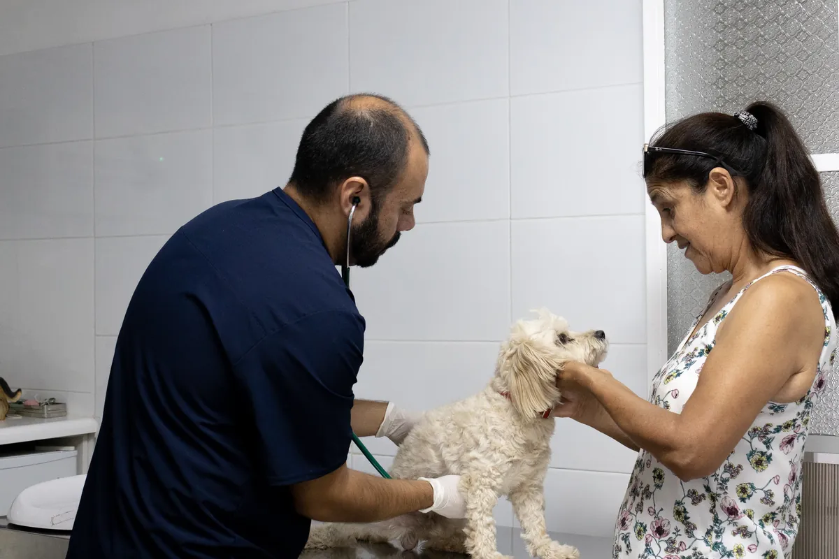Consulta General — Centro Clínico Veterinario Santa María