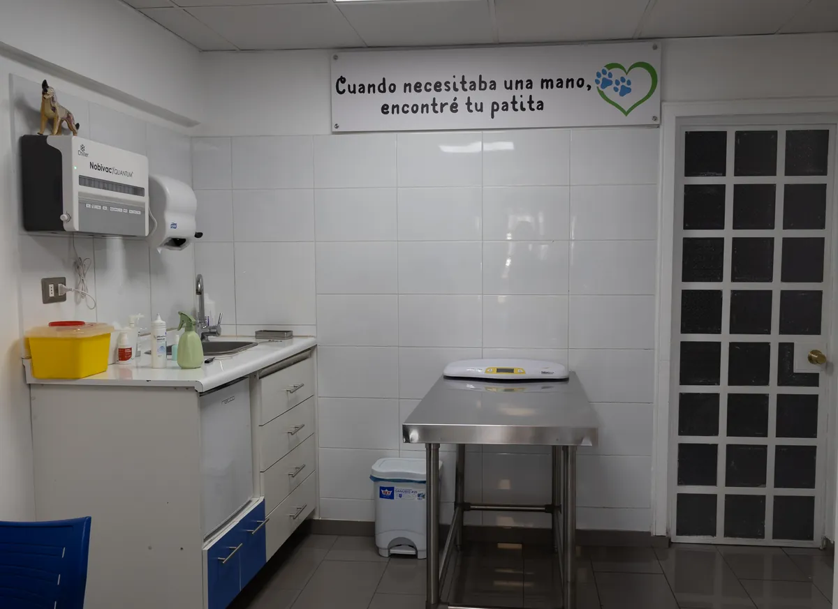 Atención de urgencia veterinaria en el Centro Clínico Veterinario Santa María